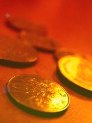 紫江企业:上海紫江企业集团股份有限公司关于全讯新2021年度日常关联交易执