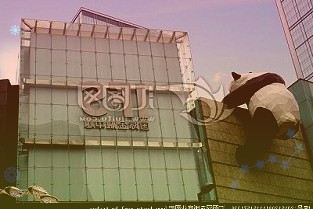 实控人信披“疑云”拉崩股价?通策医疗的“多事之秋”!